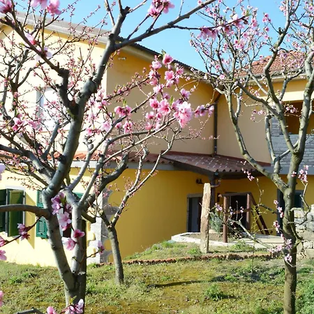 I Tre Grappoli-2